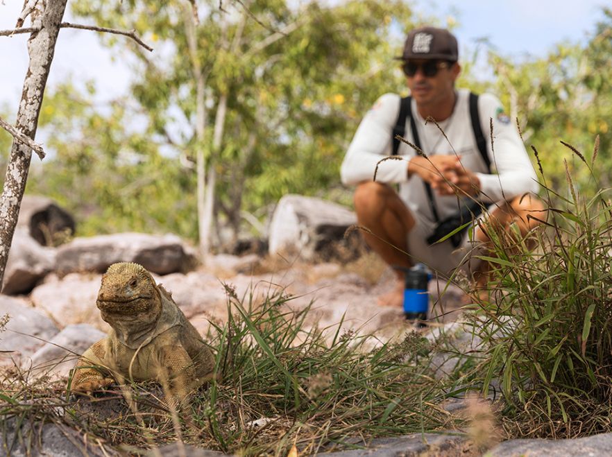 Wildlife encounters from the Aqua Mare, The Galapagos