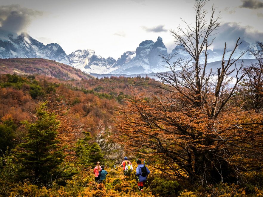 Hiking from Patagonia Camp