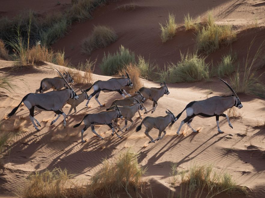 Sossusvlei Desert Lodge, Namibia