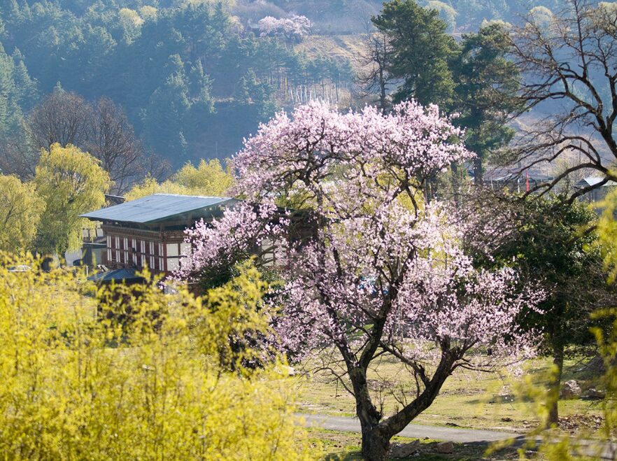 Six Senses, Bumthang, Bhutan