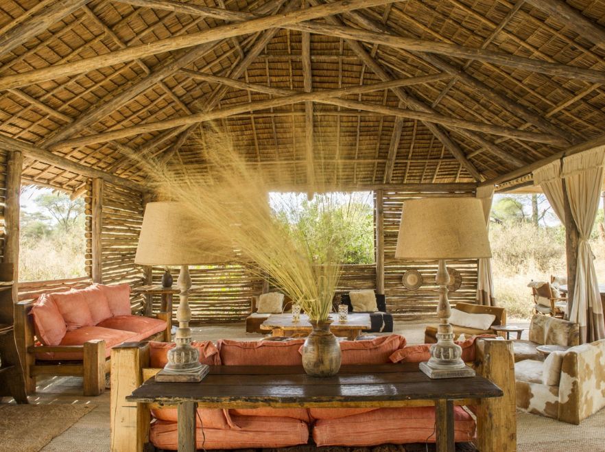 Kuro, Tarangire, Tanzania