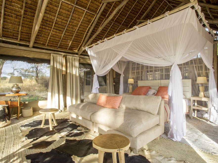 Kuro, Tarangire, Tanzania