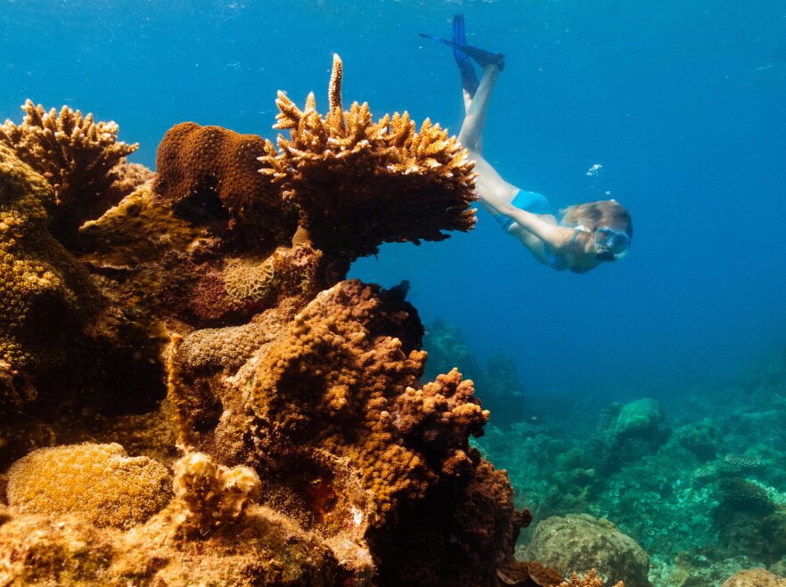 Diving from the Con Dao Islands