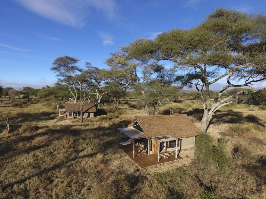 Kuro, Tarangire, Tanzania