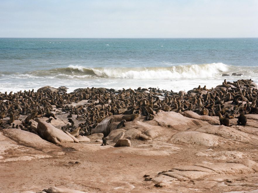 Shipwreck Lodge, Namibia