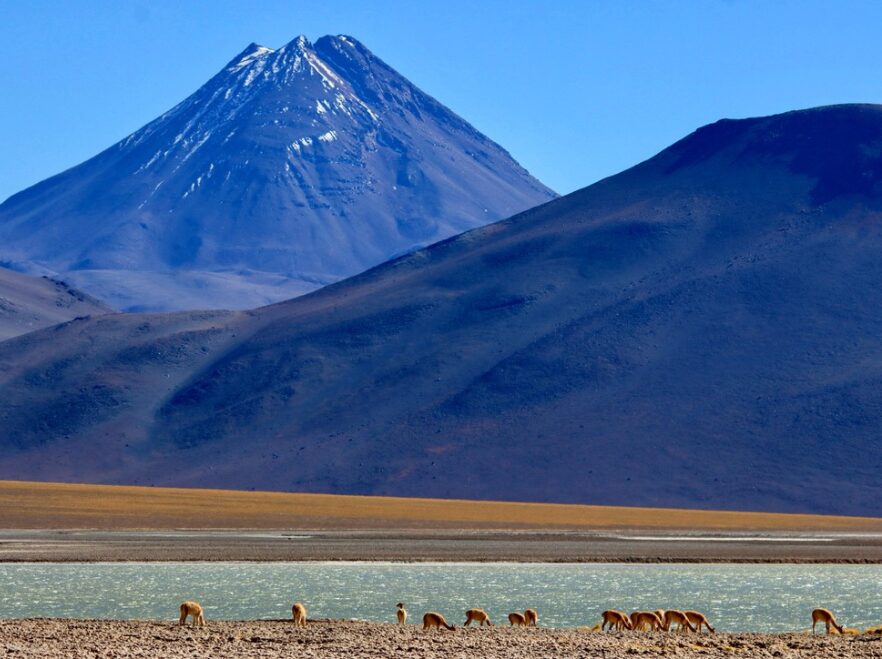 The High Andes