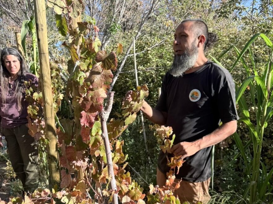 Meet the vintners of the Atacama