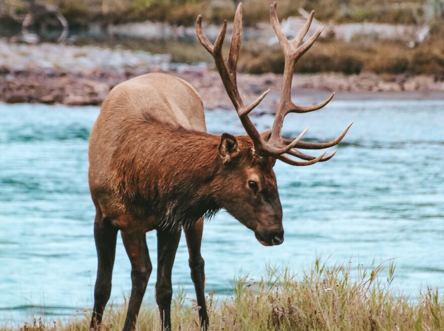 Banff National Park, Alberta, Canada