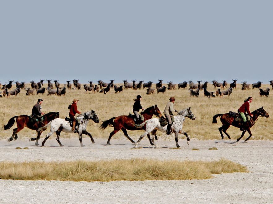 Botswana: Wetlands to Salt Pans Riding Safari