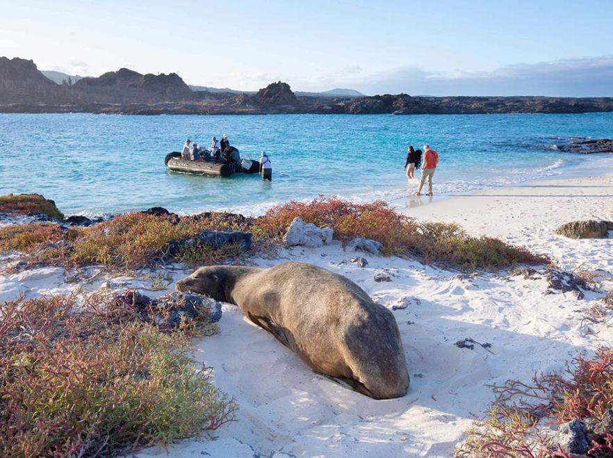 A shore landing from the Aqua Mare, The Galapagos