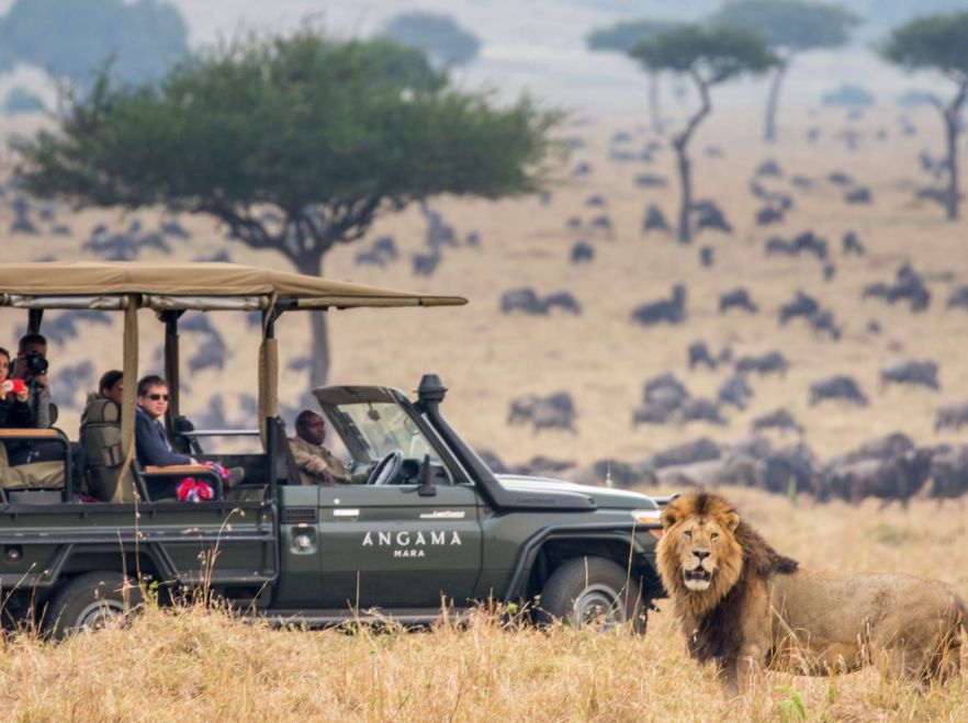 On safari with Angama Mara, Kenya