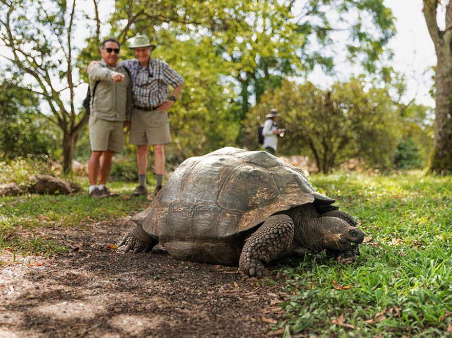 Wildlife encounters from the Aqua Mare, The Galapagos