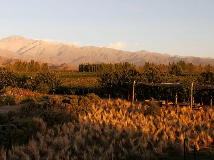 Casa de Uco in Autumn
