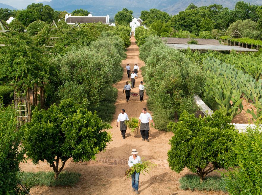 The gardens of Babylonstoren, The Winelands, South Africa