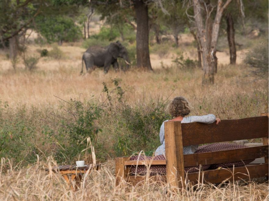 Kuro, Tarangire, Tanzania