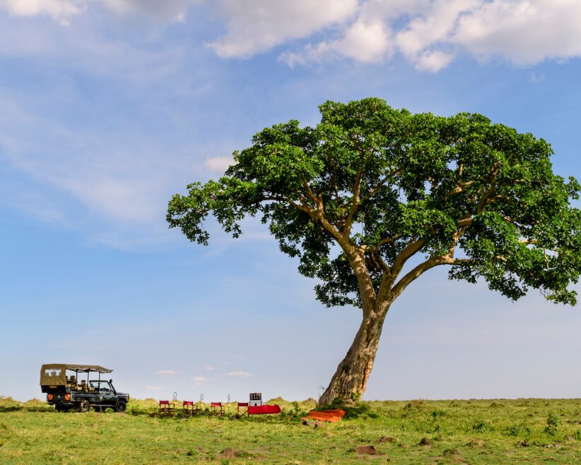 A lunch stop near Angama Safari Camp