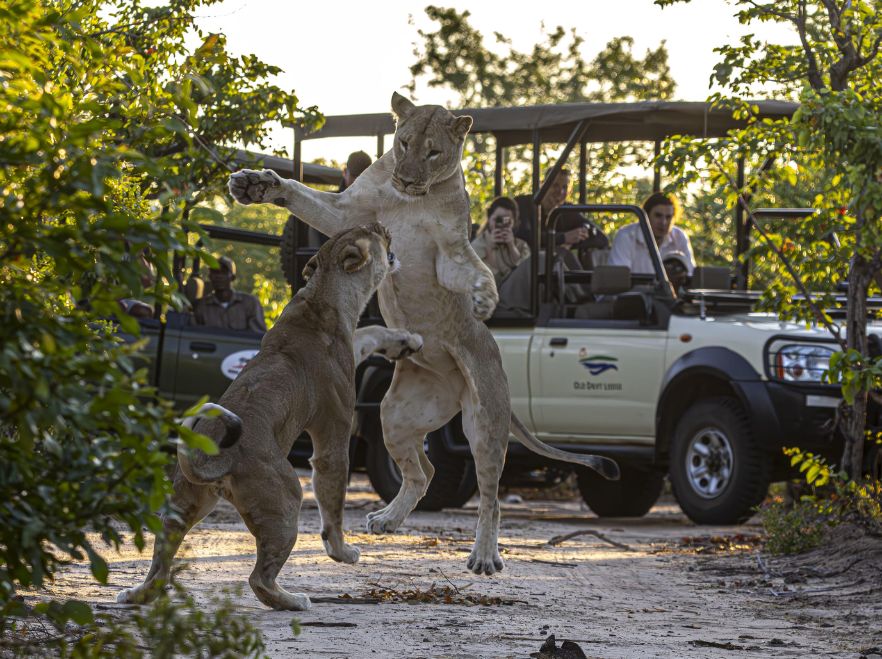 Old Drift Lodge, Victoria Falls, Zimbabwe