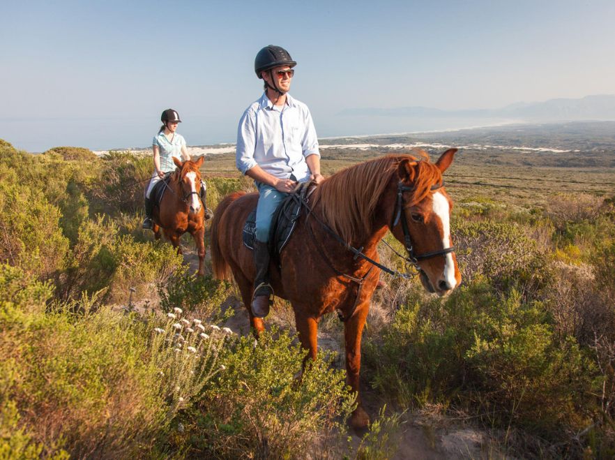 Horse riding in Grootbos Nature Reserve