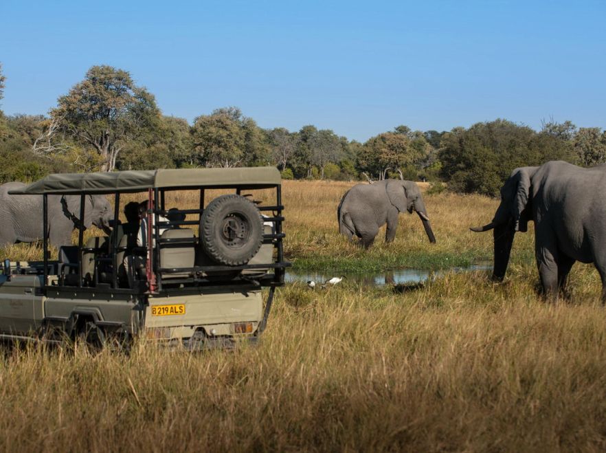 Exploring from Tuludi, Okavango Delta, Botswana