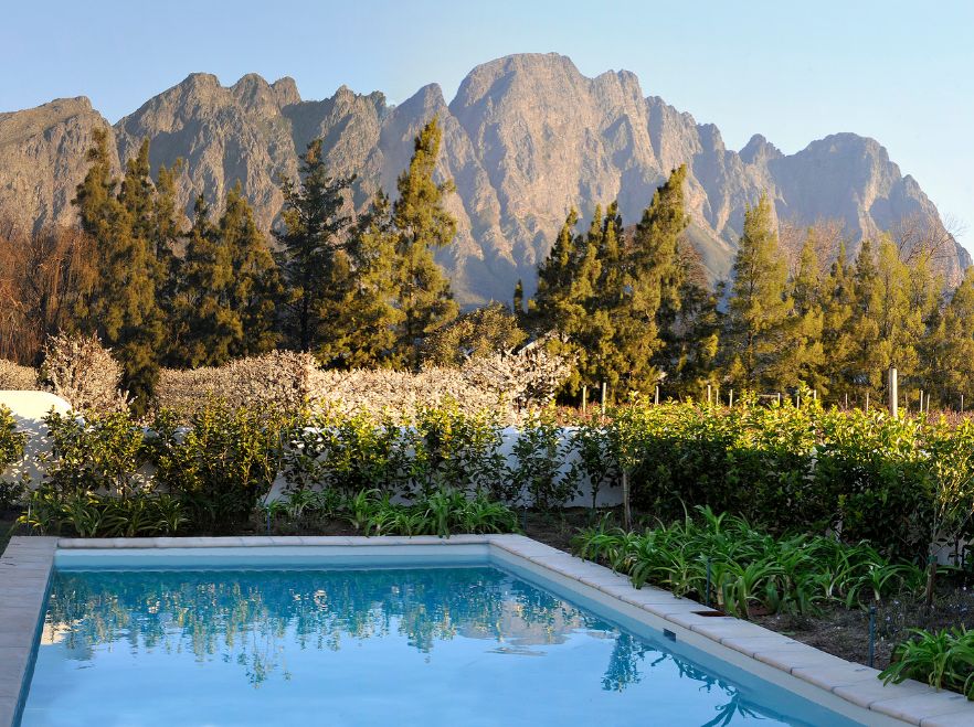 Relax among the vines of South Africa's winelands