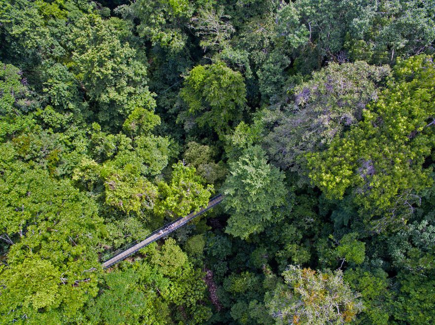 El Remanso, Peninsula de Osa, Costa Rica