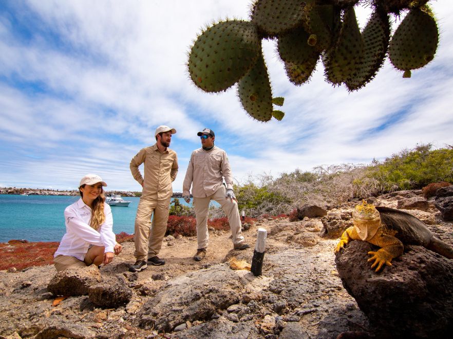 Naturist guided tours from Finch Bay, Puerto Ayora, The Galapagos