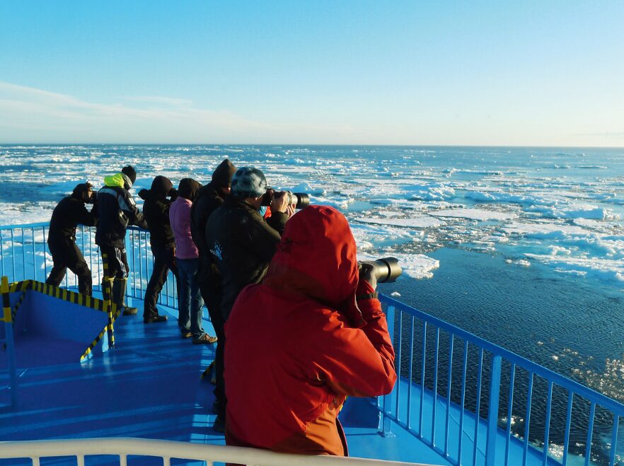 Spotting polar bears from the MS Quest