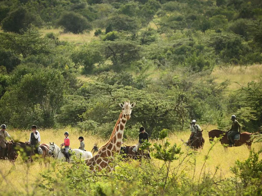 Riding through Laikipia