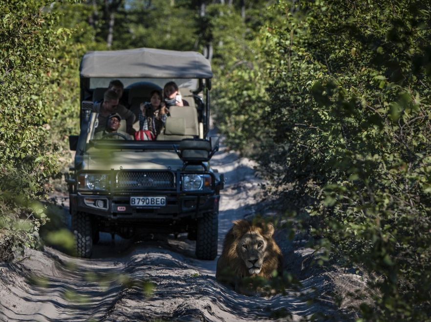 On safari from Skybeds, Okavango Delta, Botswana