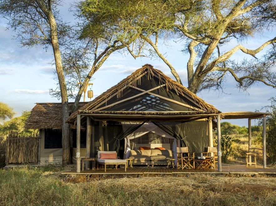 Kuro, Tarangire, Tanzania