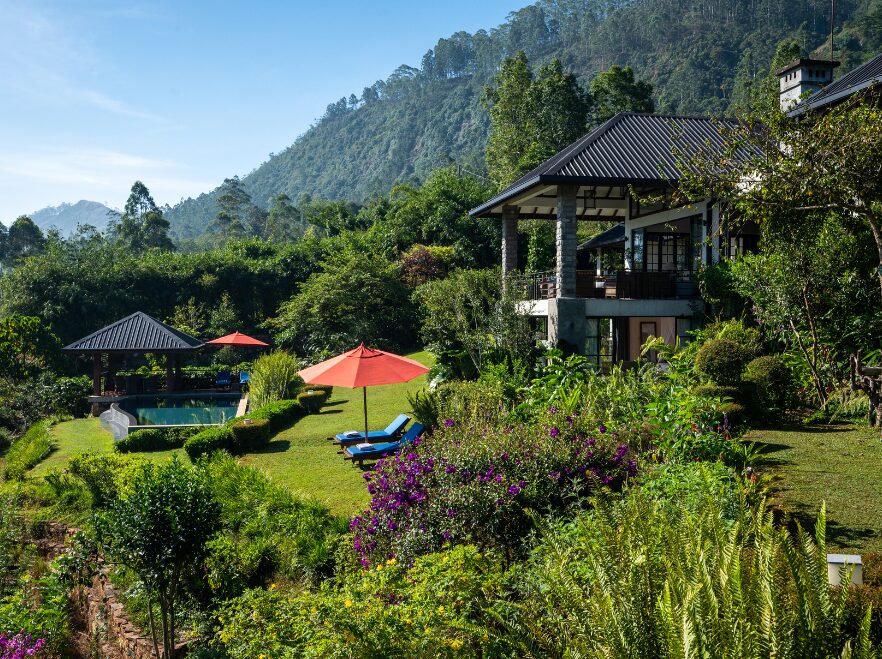 Gardens, Camellia Hills, Dickoya, Sri Lanka