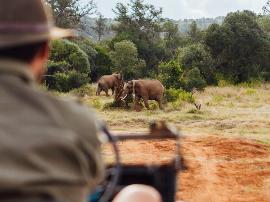 Game drive from Moon's Camp