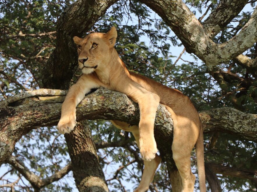 Queen Elizabeth National Park, Uganda