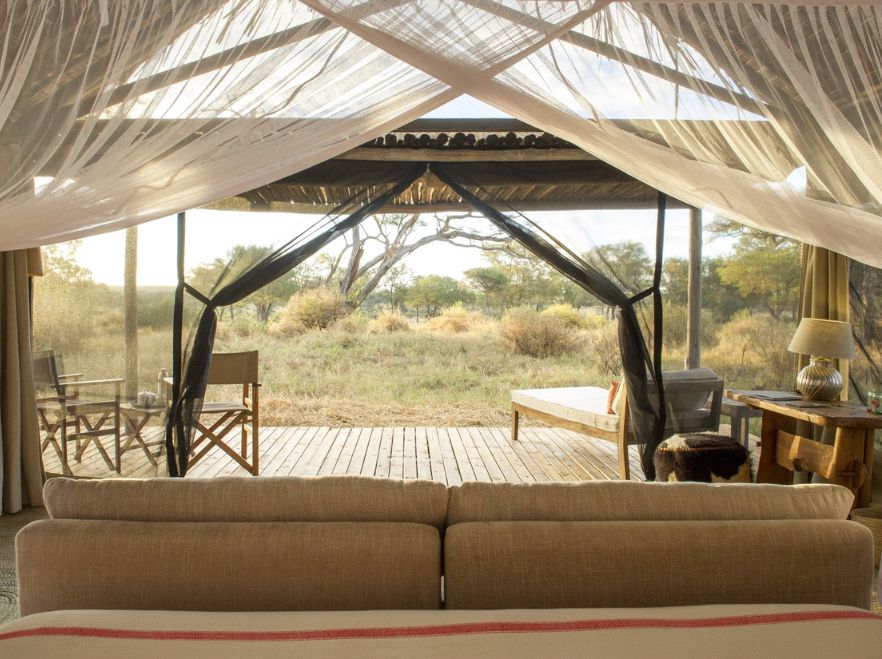 Kuro, Tarangire, Tanzania