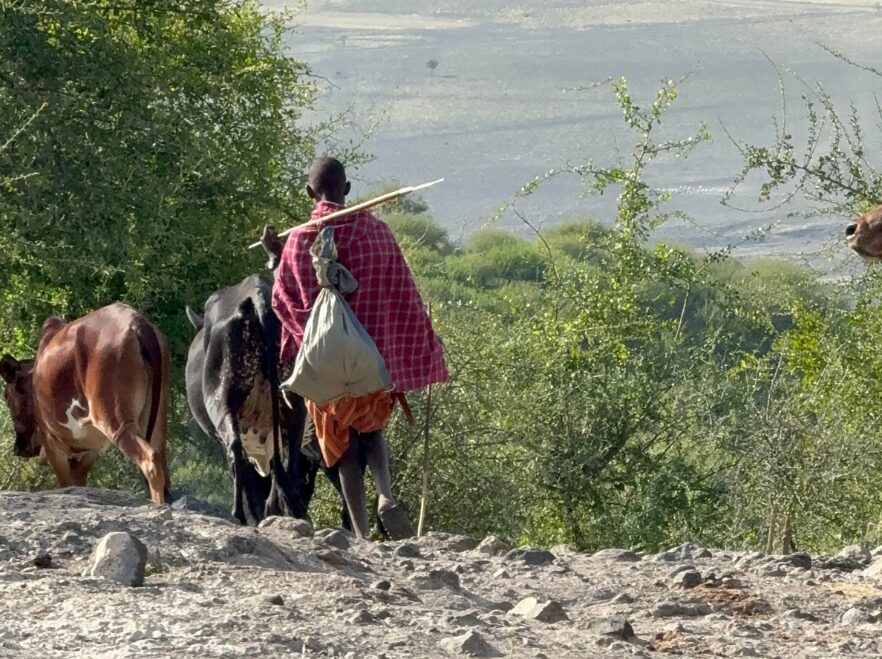 Trekking in the Gol Mountains, Tanzania