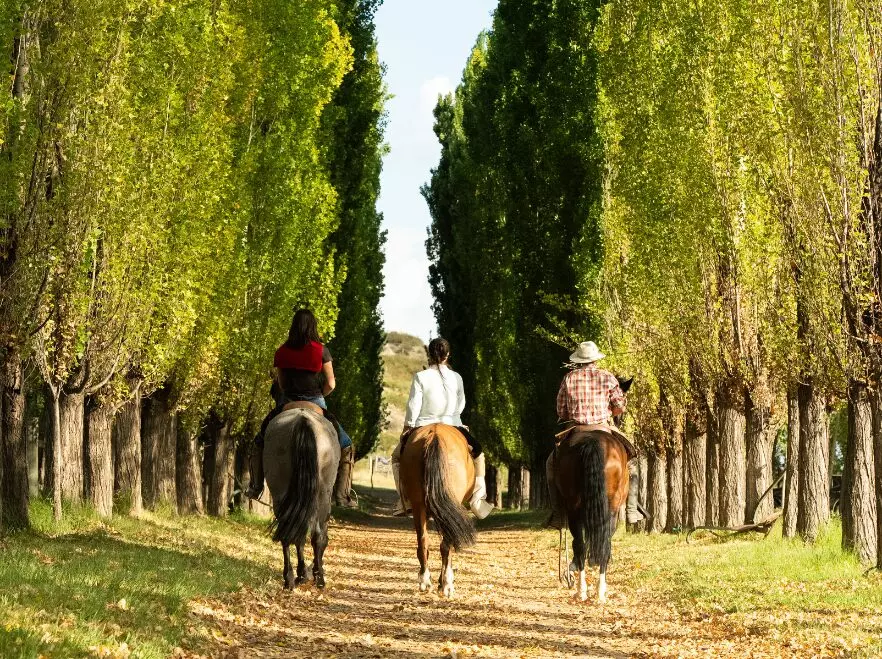 Riding at Awasi Mendoza
