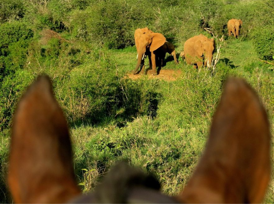 Riding from Sosian Lodge, Laikipia, Kenya WETU