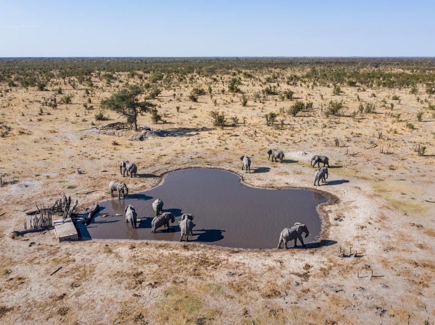 The watering hole at Skybeds, Okavango Delta, Botswana