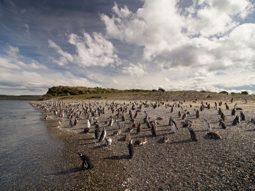 Los Cauquenes, Ushuaia, Argentina