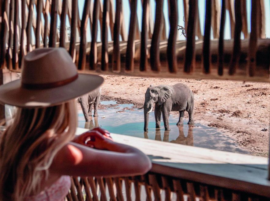 Savute Elephant Lodge, Chobe, Botswana