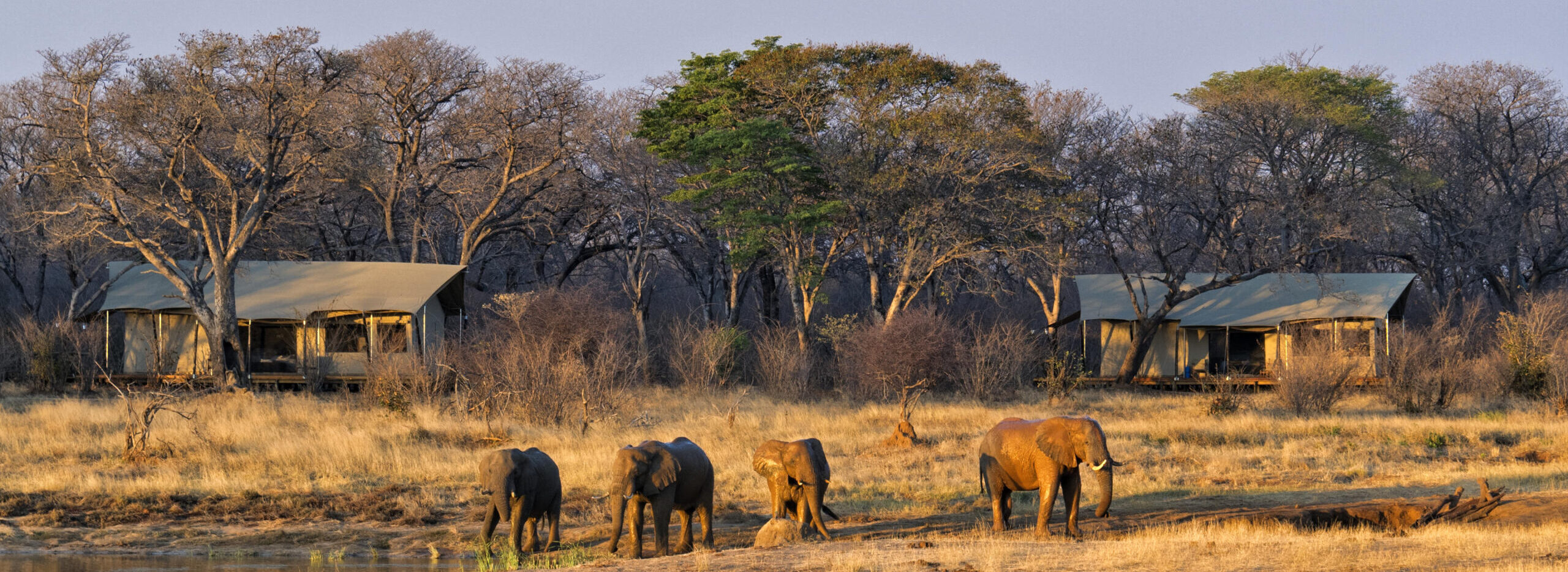 Verney’s Camp, Hwange National Park