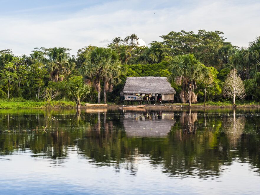 Amazon Community, Aria Cruise, Amazon Rainforest, Peru