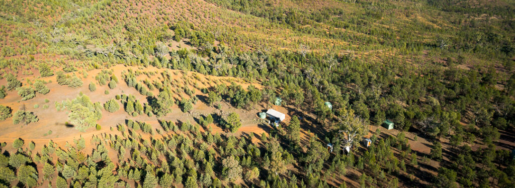 Arkaba, Flinders Ranges
