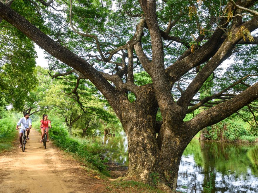 Bicycle Ride, Uga Ulagalla, Cultural Triangle, Sri Lanka