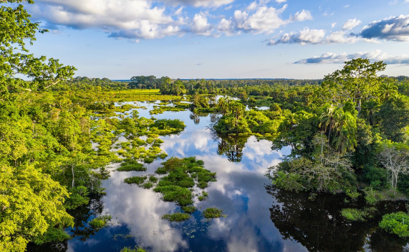 The Republic of Congo