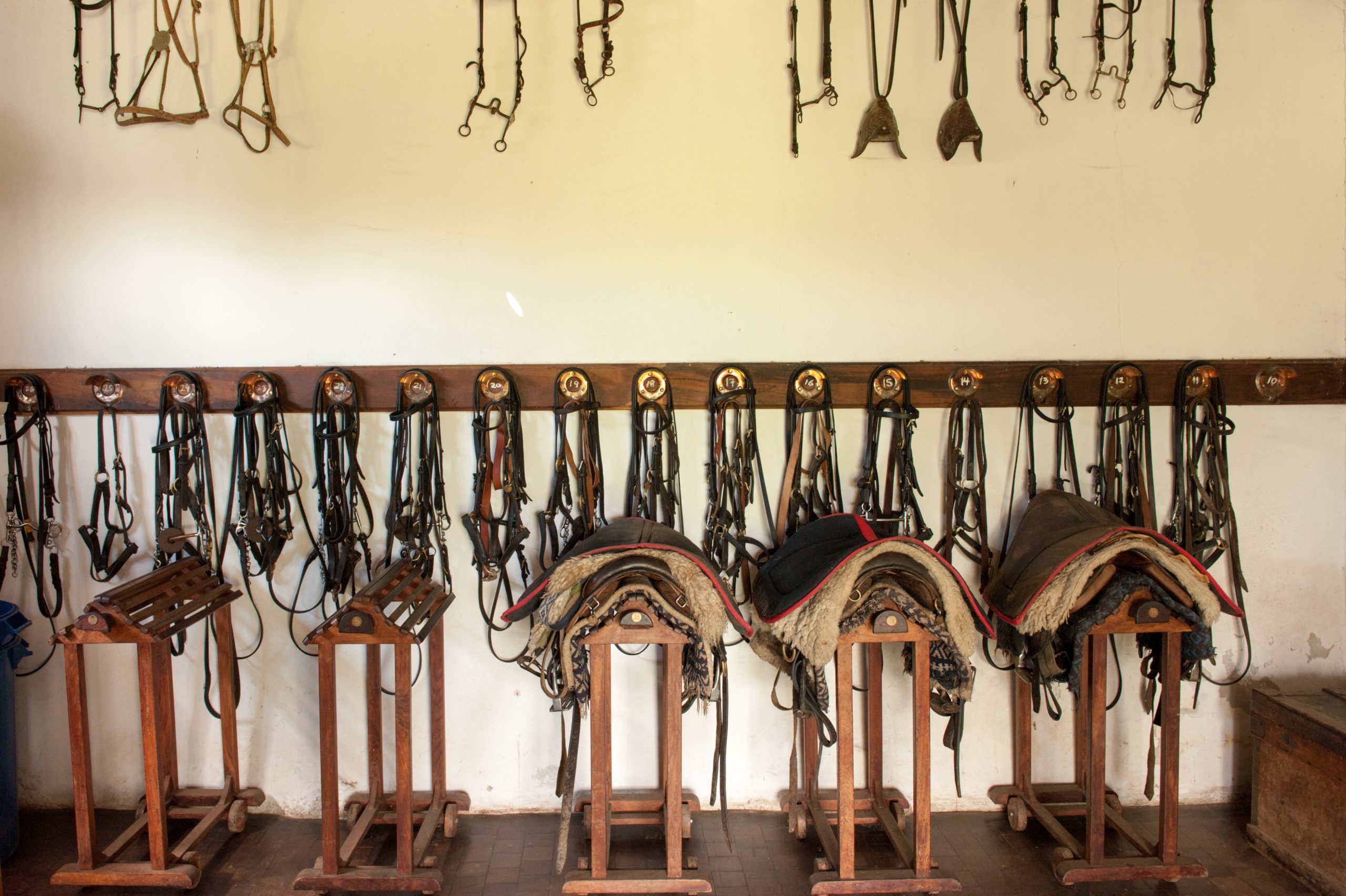 Estancia Los Potreros, Cordoba, Argentina, March 2015.