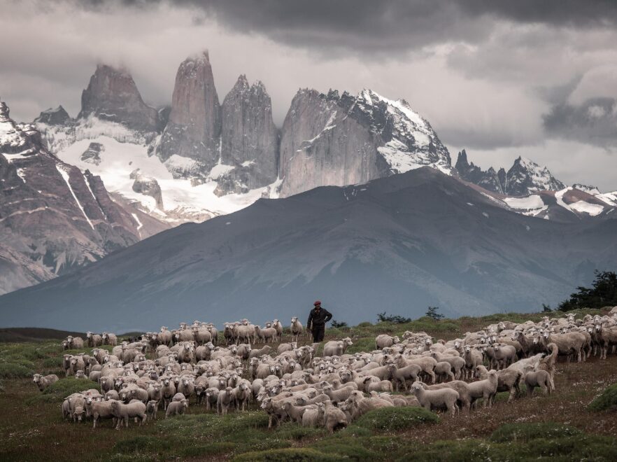Estancia Cerro Guido, Torres Del Paine, Chile