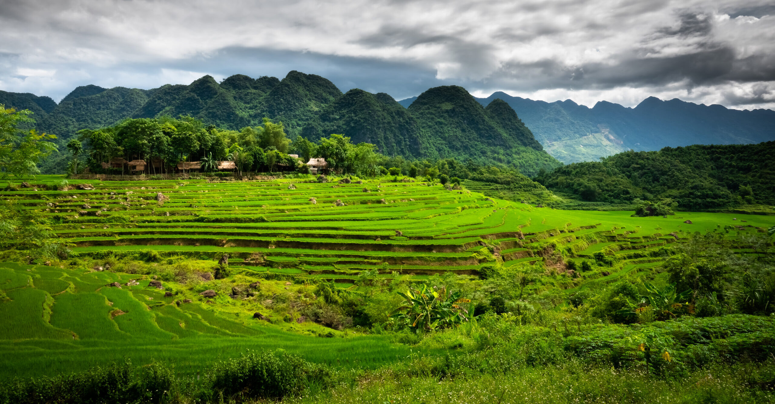 Mai Châu