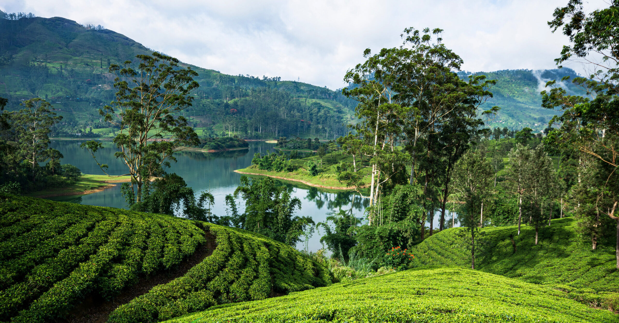 Hill Country, Sri Lanka