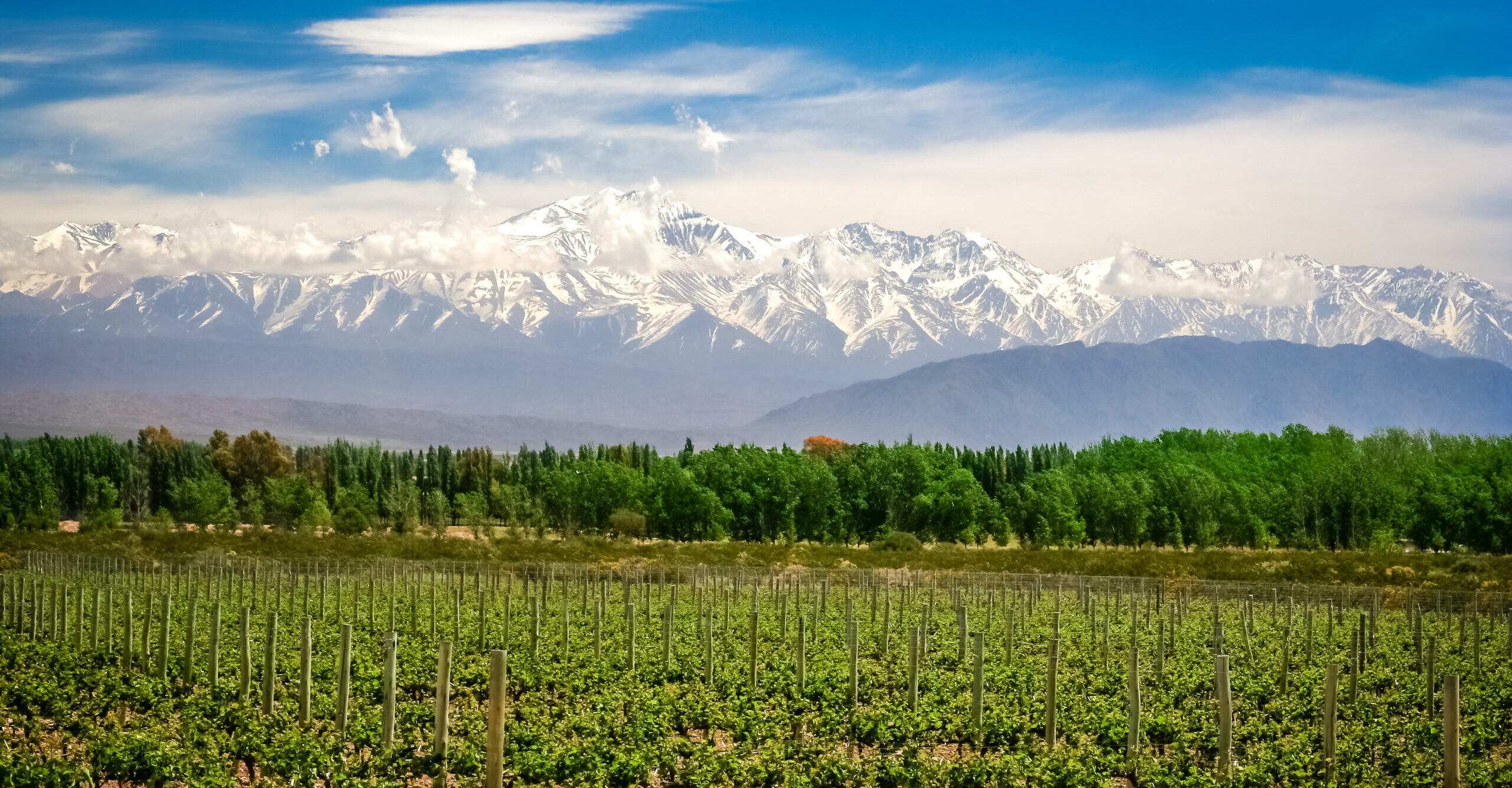 Mendoza